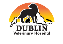 Dublin Veterinary Hospital